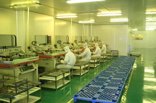 中共湛江市委十一屆十次全會(huì)工作報(bào)告要點(diǎn) 深化人力資源服務(wù)，規(guī)范職業(yè)中介活動(dòng)，賦能高質(zhì)量發(fā)展